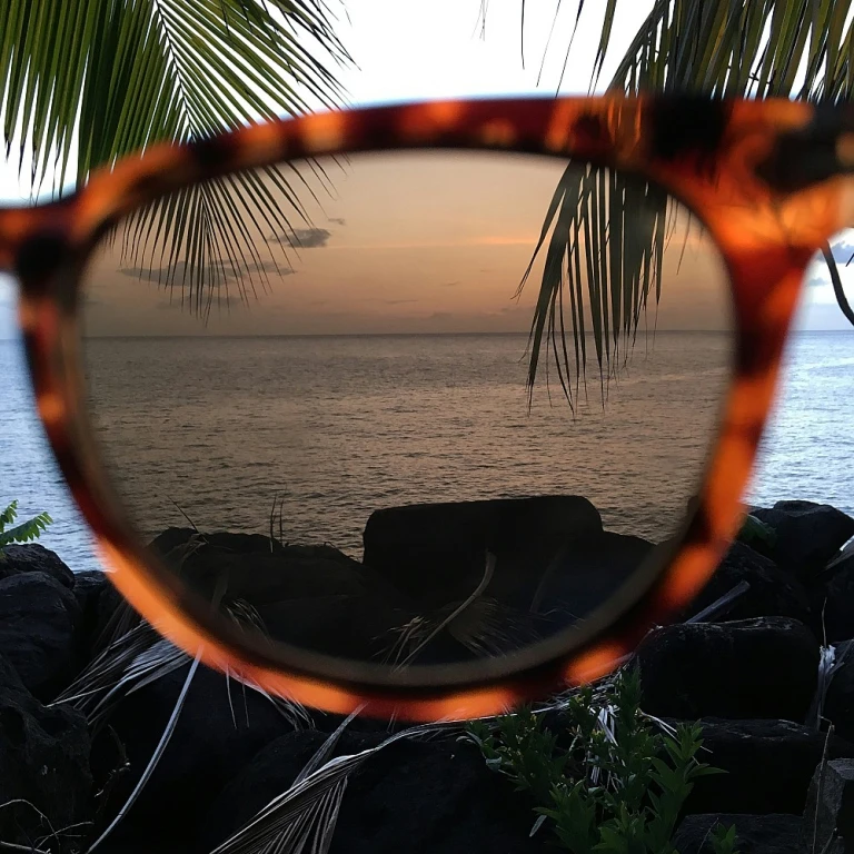 Comment un nettoyeur à ultrasons peut transformer l'entretien de vos lunettes