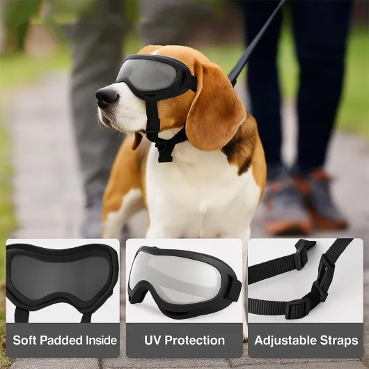 611i2HH1NZL._AC_SL1100_