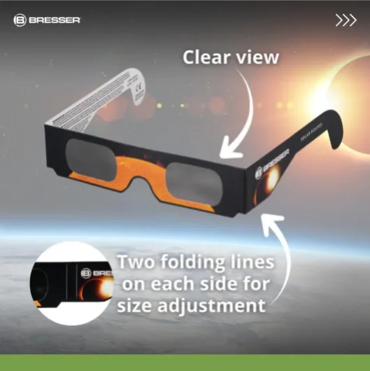 61qtdSmfxhL._AC_SL1019_