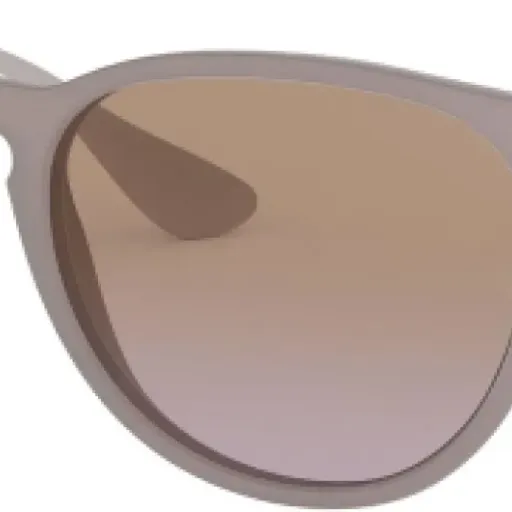 Test Ray-Ban RB4171 Erika : des lunettes simples, efficaces… mais pas données